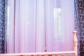 Little birds paradise