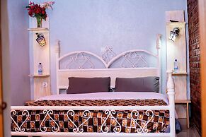 Little birds paradise