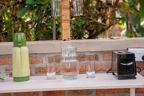 Little birds paradise