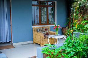 Little birds paradise