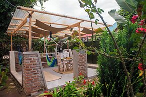 Little birds paradise