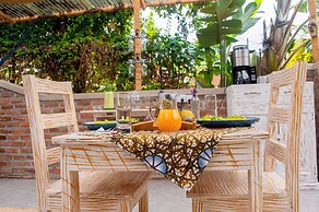 Little birds paradise