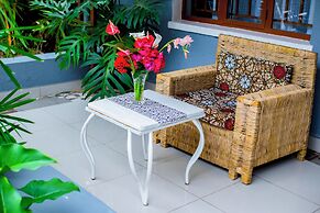 Little birds paradise