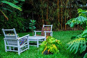 Little birds paradise