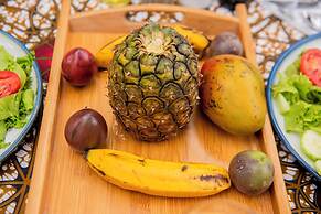 Little birds paradise