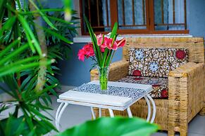 Little birds paradise