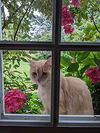 Domaine de Champouteau