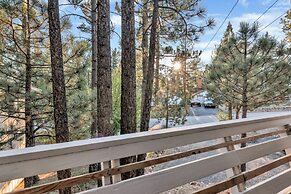 Fox & Bears Retreat#2190