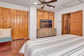 Silvertip Pines #2335