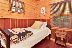 Silvertip Pines #2335