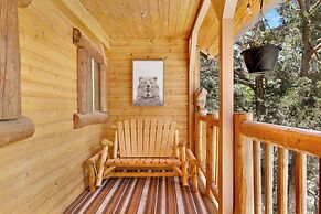 Polar Plunge BIG Bear #2031