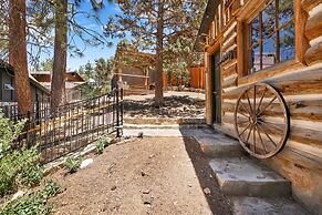 Polar Plunge BIG Bear #2031