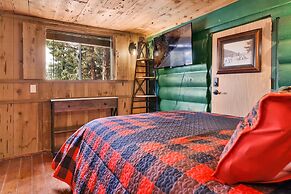 Polar Plunge BIG Bear #2031