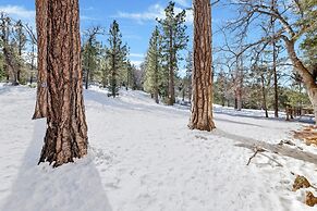Smith Chalet AT Snow Summit #2278
