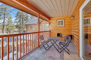 Mishka's Place #1567