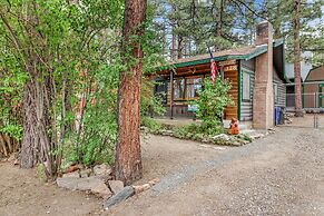 Cozy Bear Cabin #2295