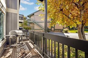 Blue JAY Getaway #2082