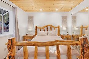 THE Bear Bauhaus #2106