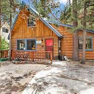 THE Bear Bauhaus #2106