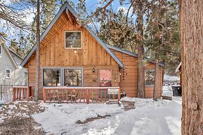 THE Bear Bauhaus #2106