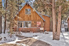 THE Bear Bauhaus #2106