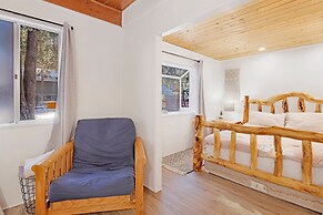 THE Bear Bauhaus #2106