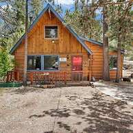 THE Bear Bauhaus #2106