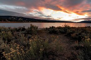 THE Bear Bauhaus #2106