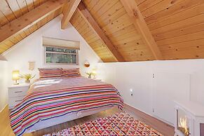 THE Bear Bauhaus #2106