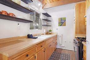 THE Bear Bauhaus #2106