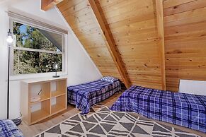 THE Bear Bauhaus #2106