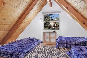 THE Bear Bauhaus #2106