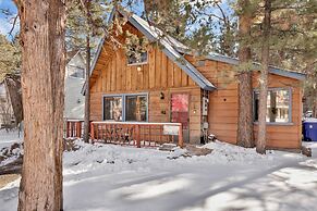 THE Bear Bauhaus #2106