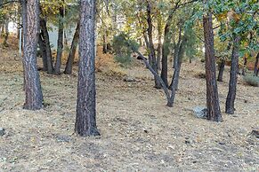 Moonridge Serenade #1967