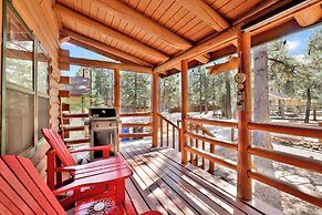 BIG Bear Haven #2343