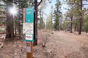 Twin Pines Lodge #2458