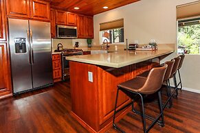 Bohemia BIG Bear #1926