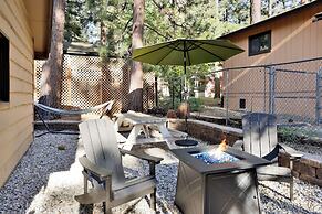 Bohemia BIG Bear #1926