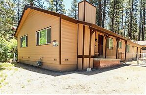 Bohemia BIG Bear #1926