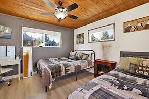 JAY Bird Landing Escape #2308