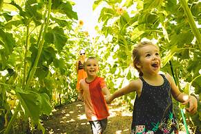 Summit SKI Haus #2460