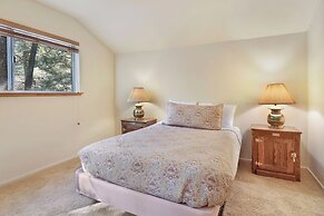 Tree TOP Views #2060