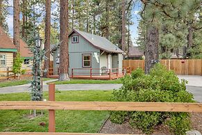 Beary Cozy Cabin #2315