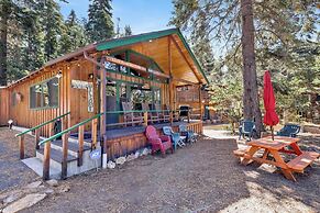 Bear CUB Cabin #2069