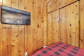 Bear CUB Cabin #2069