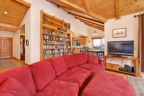 Starlight Vistas #1524