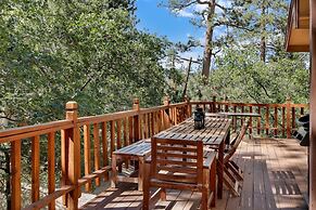 Alpine Adventure #2166