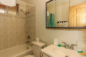 Shasta Mountain Cabin#1916