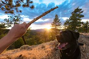 Cupid's Village Retreat #2326