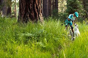 Your Happy Place #2216